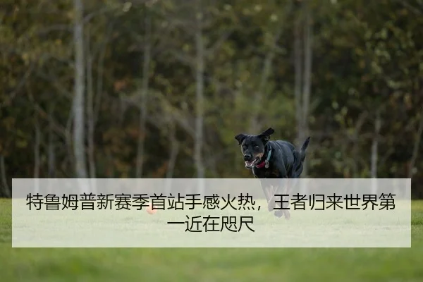 te-lu-mu-pu-xin-sai-ji-shou-zhan-shou-gan-huo-re-wang-zhe-gui-lai-shi-jie-di-yi-jin-zai-zhi-chi-2-859.jpg